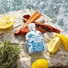 Dolce & Gabbana | Light Blue Summer Vibes Men | EDT | 4.2 oz