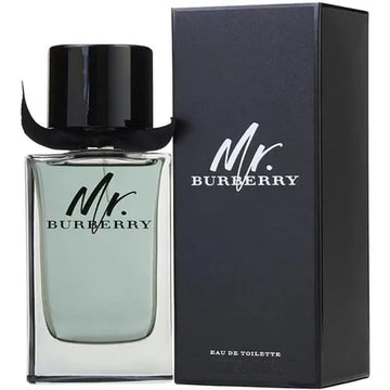 Mr. Burberry - Tester 100 ml EDT